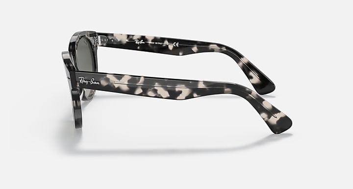Ray-Ban Orion 0RB2199 Sunglasses