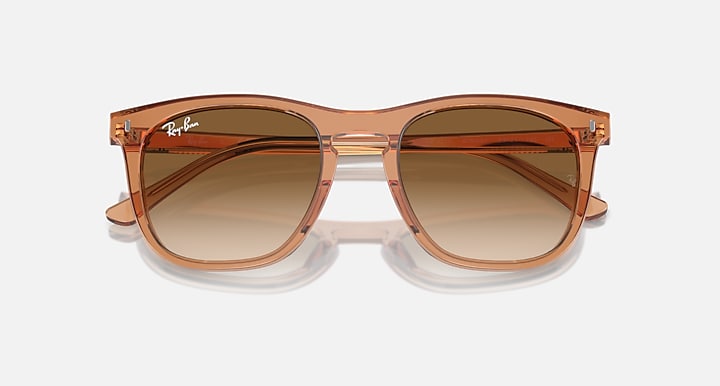 Ray-Ban 0RB2210 Sunglasses