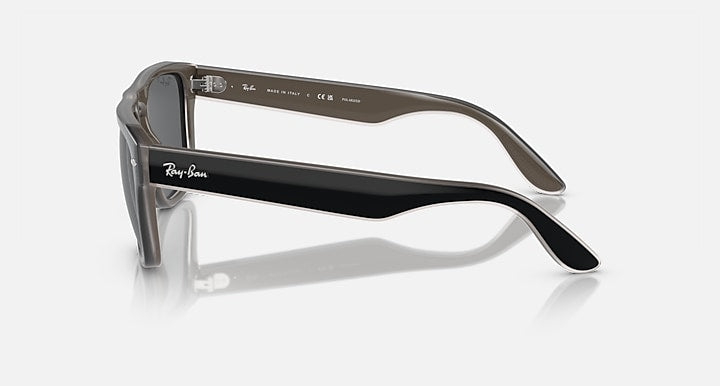Ray-Ban 0RB4407 Sunglasses