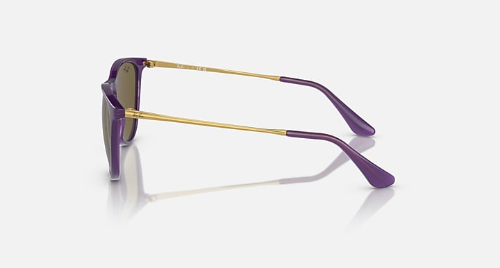 Ray-Ban Erika Kids 0RJ9060S Sunglasses