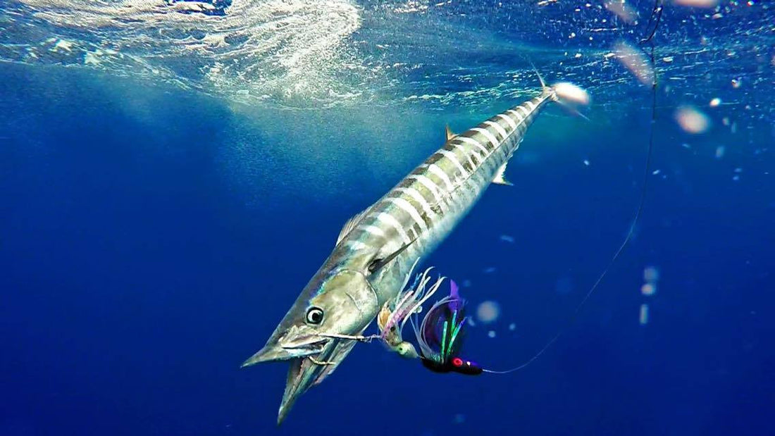 GoPro-ing with Matt Rissell