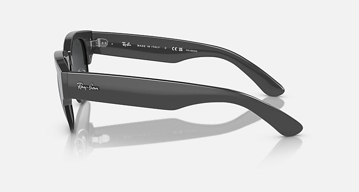 Ray-Ban 0RB0316S Sunglasses