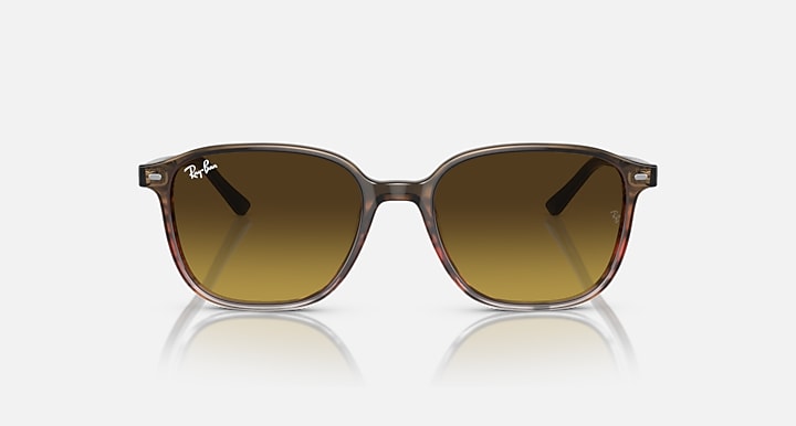 Ray-Ban Leonard 0RB2193 Sunglasses