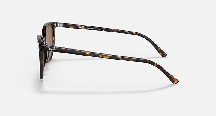 Ray-Ban Bill 0RB2197 Sunglasses