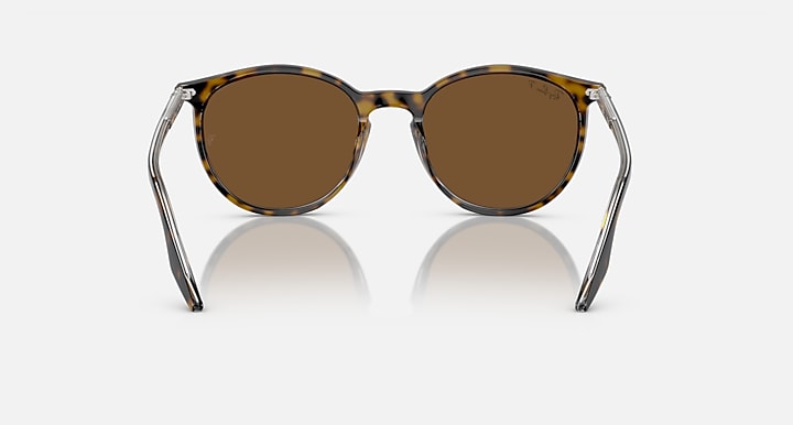 Ray-Ban 0RB2204 Sunglasses