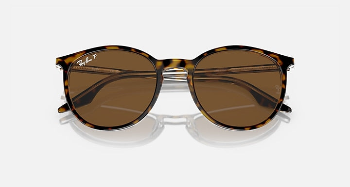 Ray-Ban 0RB2204 Sunglasses