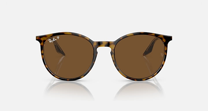 Ray-Ban 0RB2204 Sunglasses