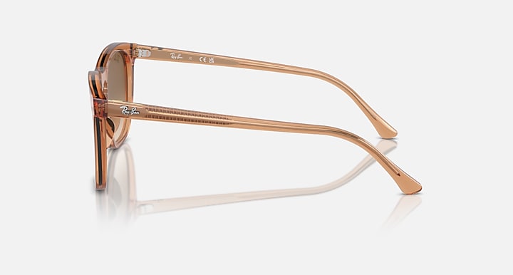 Ray-Ban 0RB2210 Sunglasses