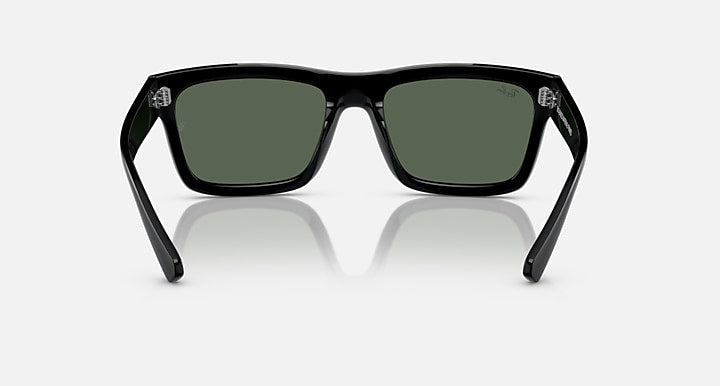 Ray-Ban Warren Bio-Based 0RB4396 Sunglasses