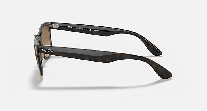 Ray-Ban 0RB4640 Sunglasses