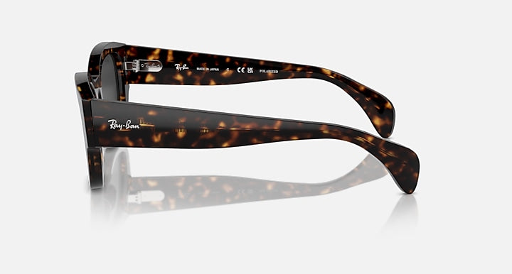 Ray-Ban Jorge 0RB7681S Sunglasses