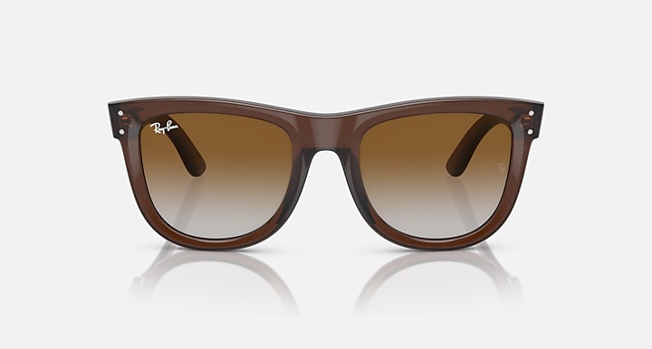 Ray-Ban Wayfarer Reverse 0RBR0502S Sunglasses