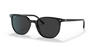 Ray-Ban RB2197 Sunglasses